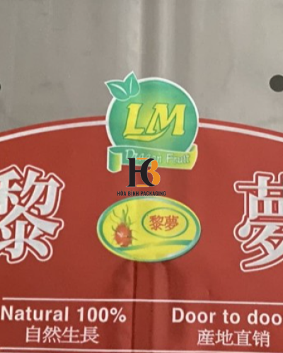 TÚI PP CÓ IN ĐỰNG THỰC PHẨM